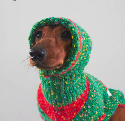 Christmas Pet Clothes For Autumn And Winter Warmth