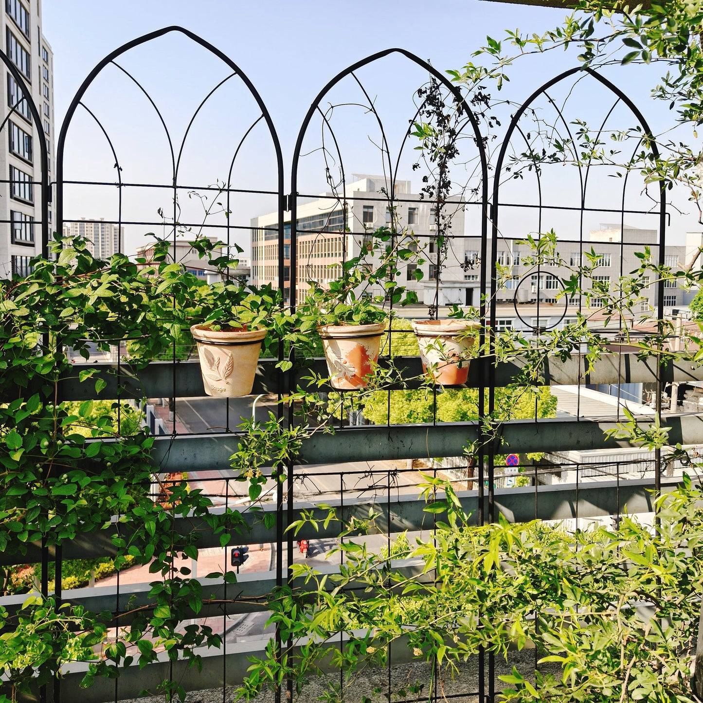 2 Pack Metal Garden Trellis 78.7" x 19.7"