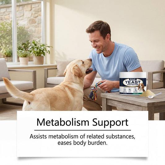Kriath Dog Yeast Supplement Daily Care For Dogs' Body Comfort And Nutrition Supplement