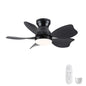 Low Profile Flush Mount Ceiling Fan With Light