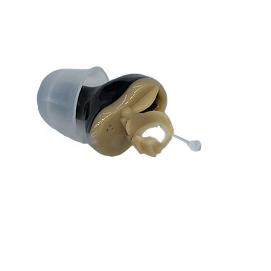 Hearing Aid