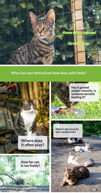 GPS Outdoor Pet Tracker & Activity Monitor