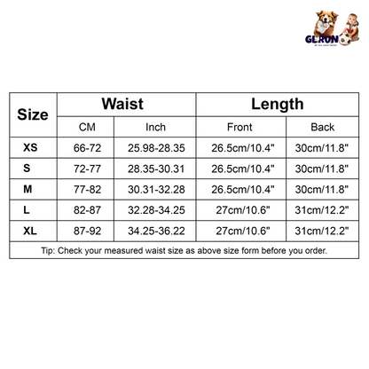 WG_Gift_BodyShaperWaist(S)_GPCT872