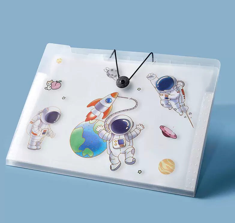 Organ bag, test paper bag-astronaut-12 squares