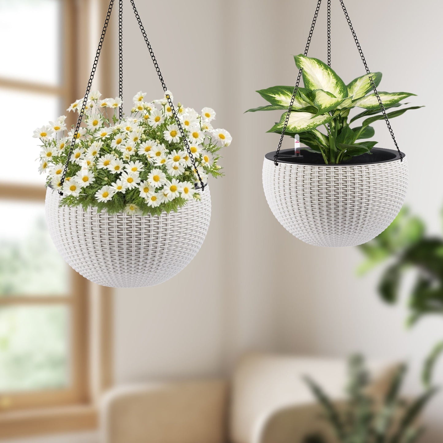 Self Watering Hanging Planter