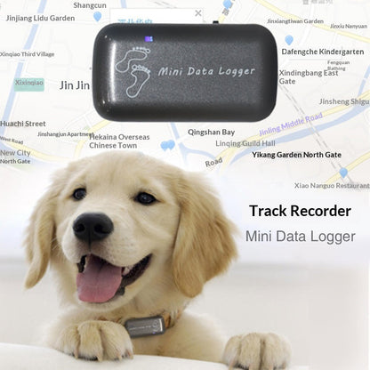 GPS Outdoor Pet Tracker & Activity Monitor