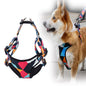 Dog's chest harness traction rope