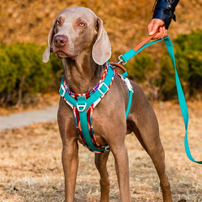 A Dog Chest Strap Prevents Medium And Large From Breaking Off In The Summer