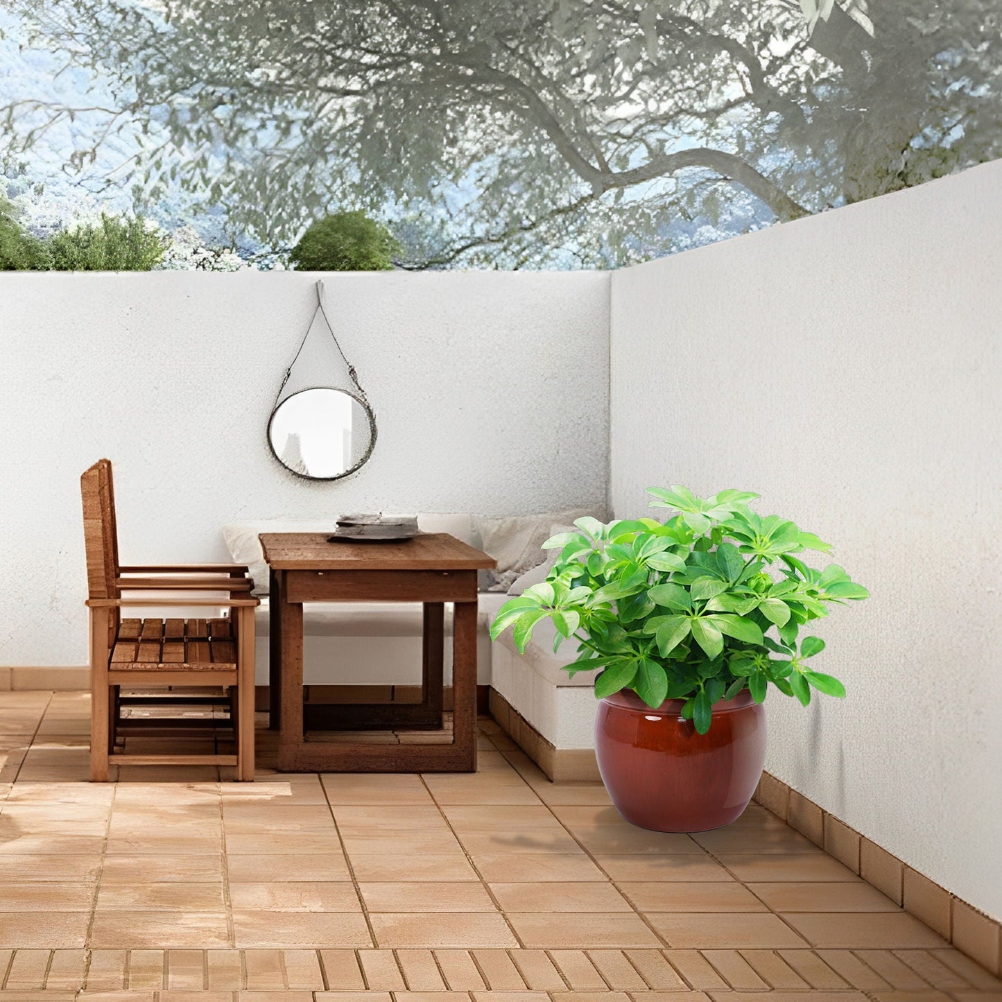 3 Pieces Ceramic Flowerpot Planter for Patio, Garden or Windowsills