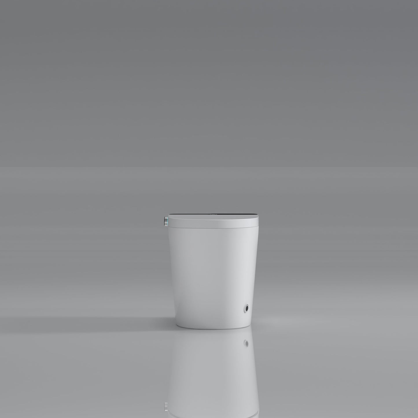 Modern Smart Toilet with Bidet Seat Built-In