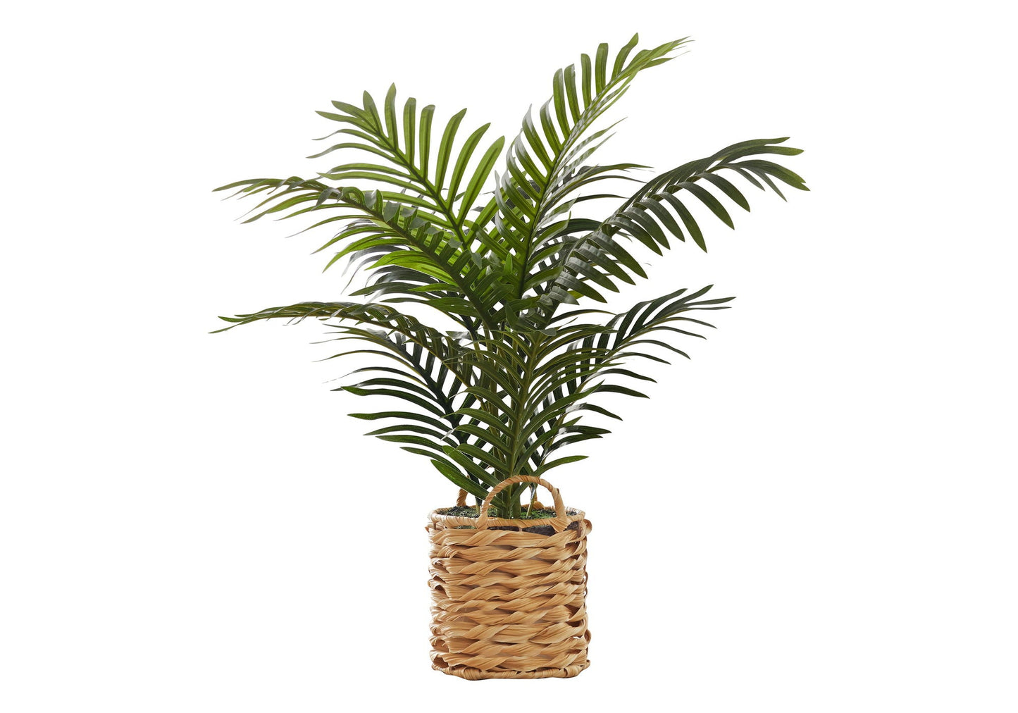 24" Tall Artificial Palm Plant - Indoor Faux Greenery