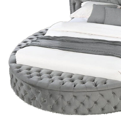 Hazel - Storage Bed