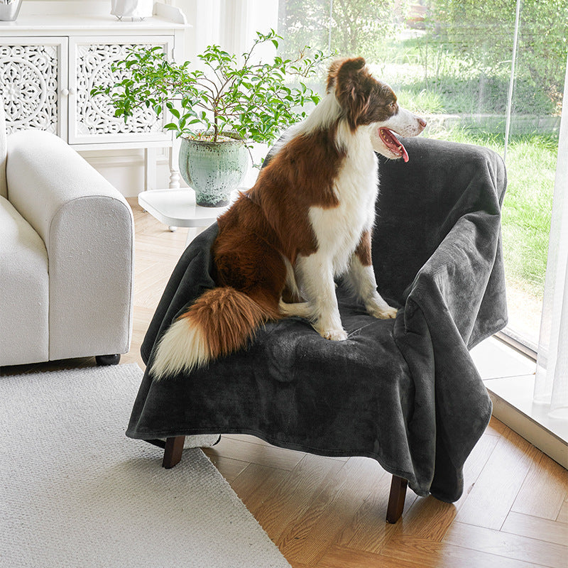 New Simple Waterproof Pet Blanket