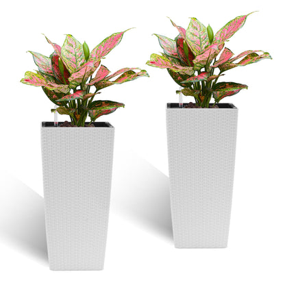 Indoor Outdoor Planter With Automatic Watering System