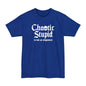 Chaotic Stupid Is Not An Alignment Tall T-Shirt