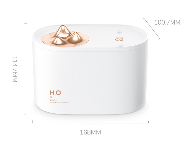 Wireless Mini USB charging sprayer