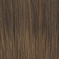 Raquel Welch Alpha Wave 16" Top Piece Hair Topper Hairpiece