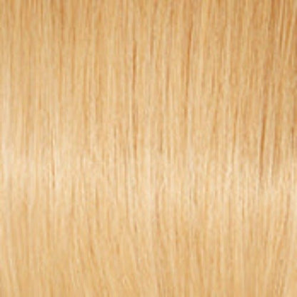 Raquel Welch Charmed Life 12" Top Piece Topper 100% Human Hair