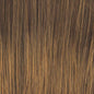 Raquel Welch Big Time Wig Hairpiece