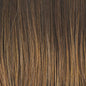 Raquel Welch On Your Game Wig Hairpiece New With Tags