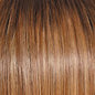 Raquel Welch On Your Game Wig Hairpiece New With Tags