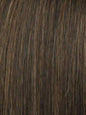 Raquel Welch Ahead of the Curve Wig, New With Tags