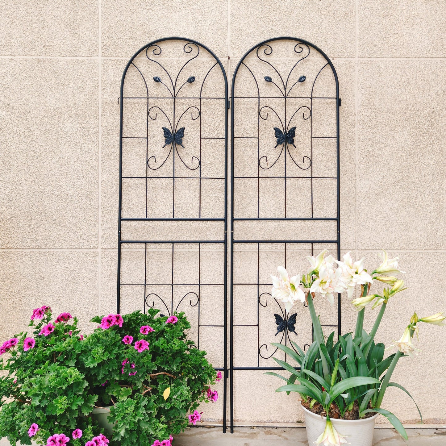 2 Pack Metal Garden Trellis 71" x 19.7" Rustproof Outdoor Support