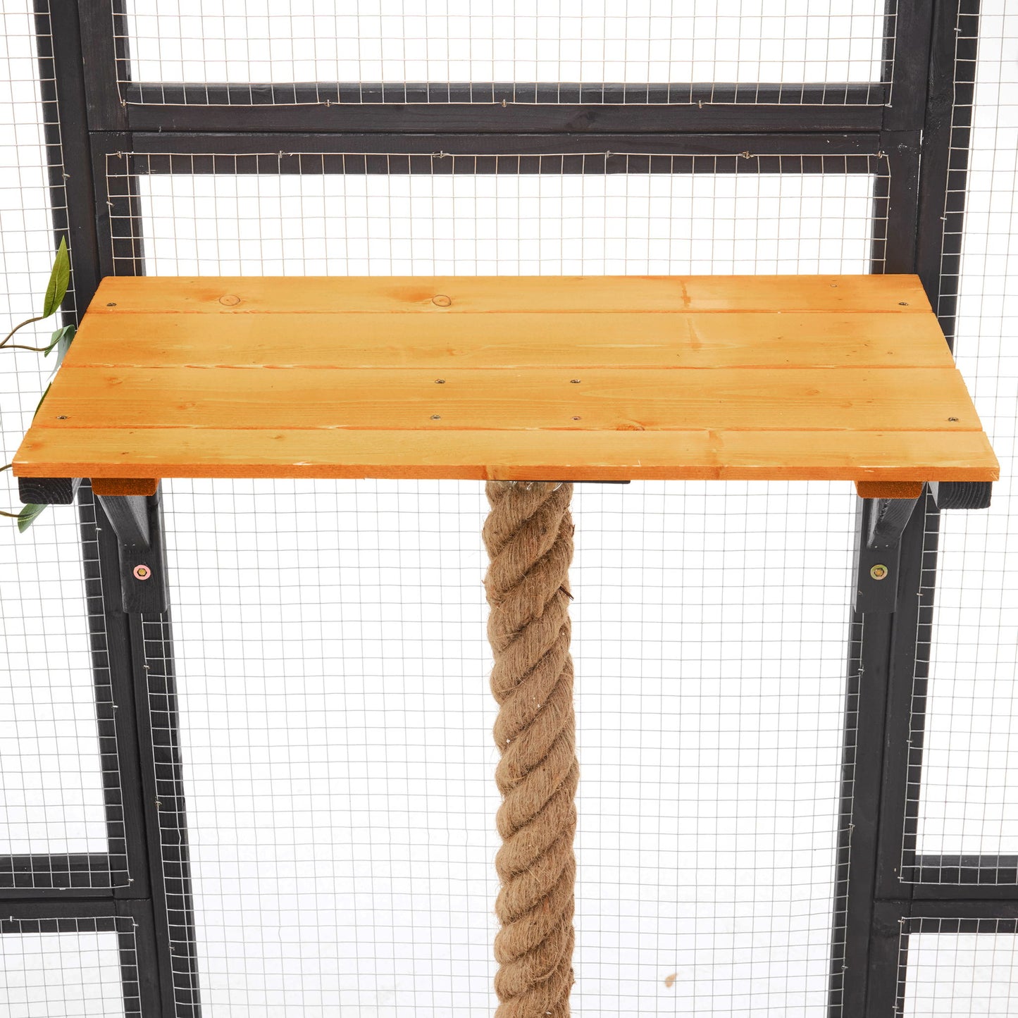 Outdoor Cat House, Diy Cat Enclosure Catio With Double Enter Doors