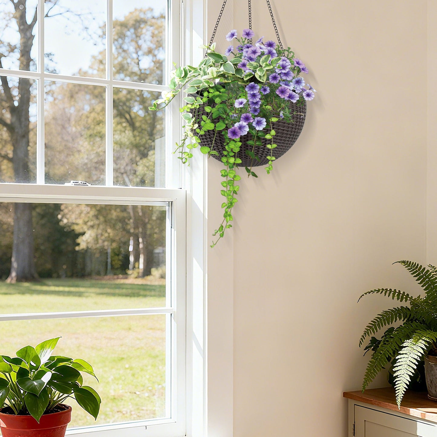 Self Watering Hanging Planter