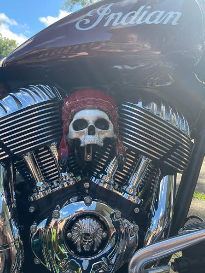 Color match Indian skull warbonnet Horn cover