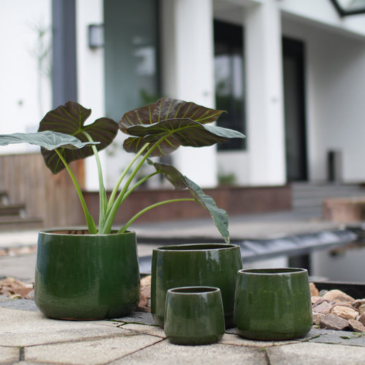 Handmade Solid Glazed Ceramic Planter Set of 4