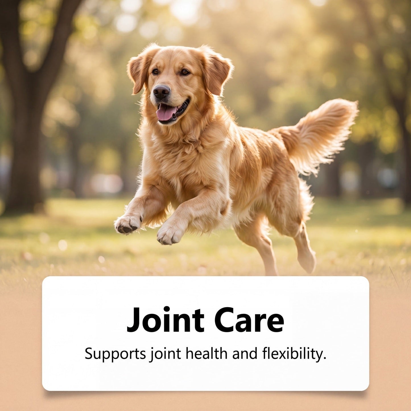 Kriath Dog Joint Care Powder Gentle Care And Comfort For Pets Body Protection Health Nutrition Care Powder