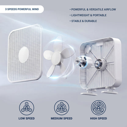 20 Inch Box Fan