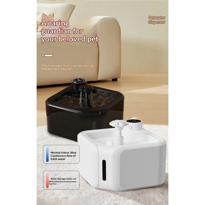 Automatic Circulating Filtered Pet Fountain