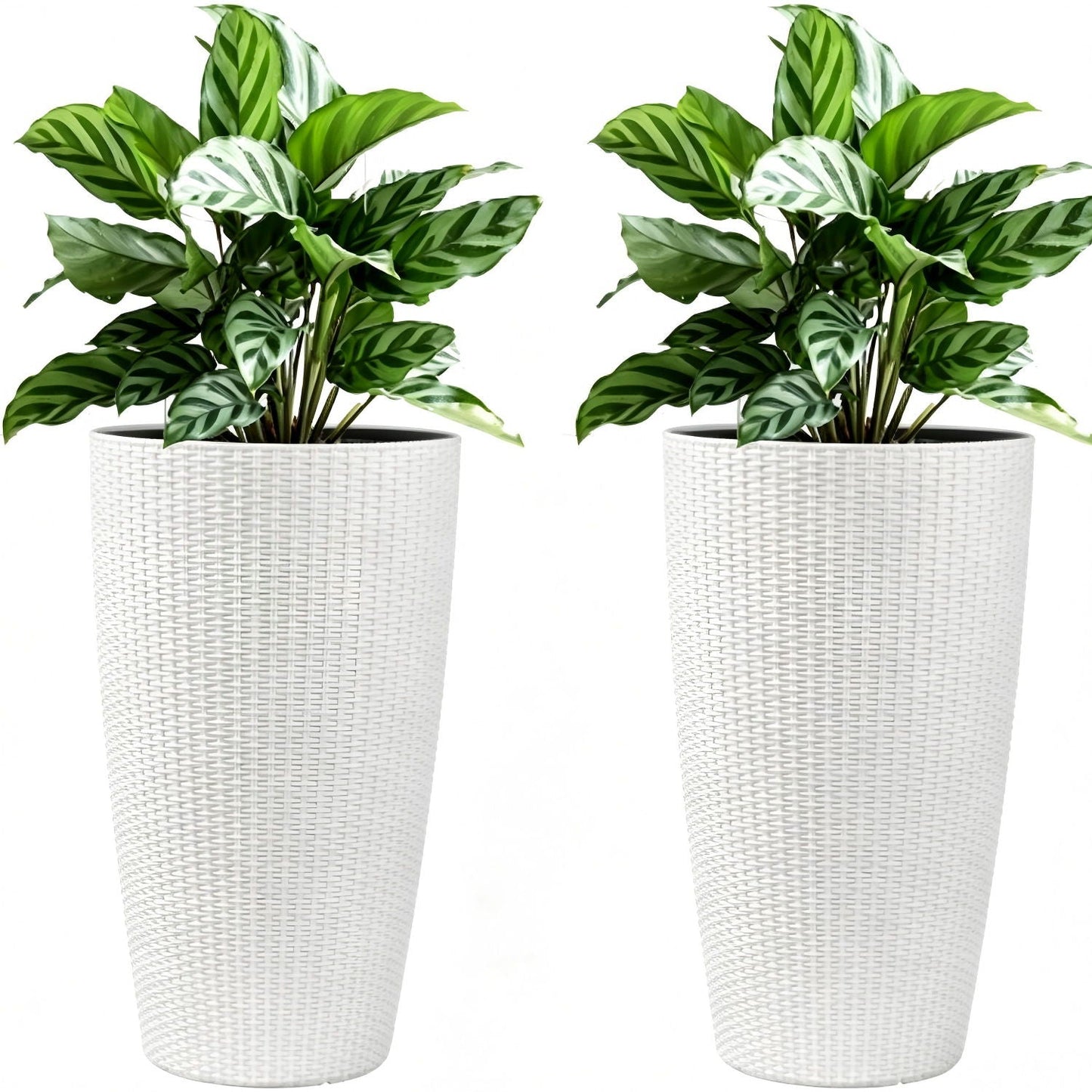 Tall Planters Set With Water Level Monitor And Auto Watering