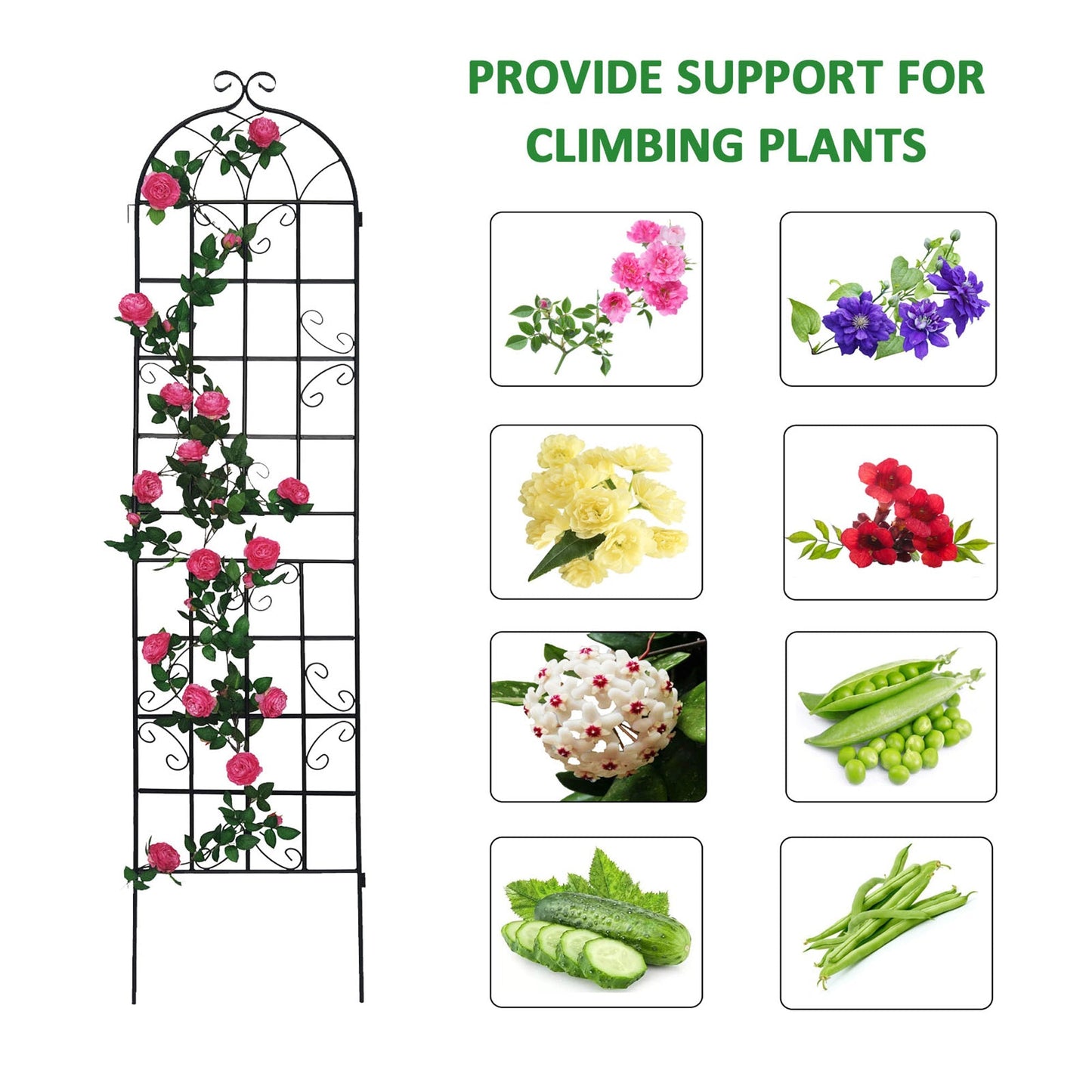 Metal Garden Trellis 4 Pack Rustproof Climbing Plant Supports
