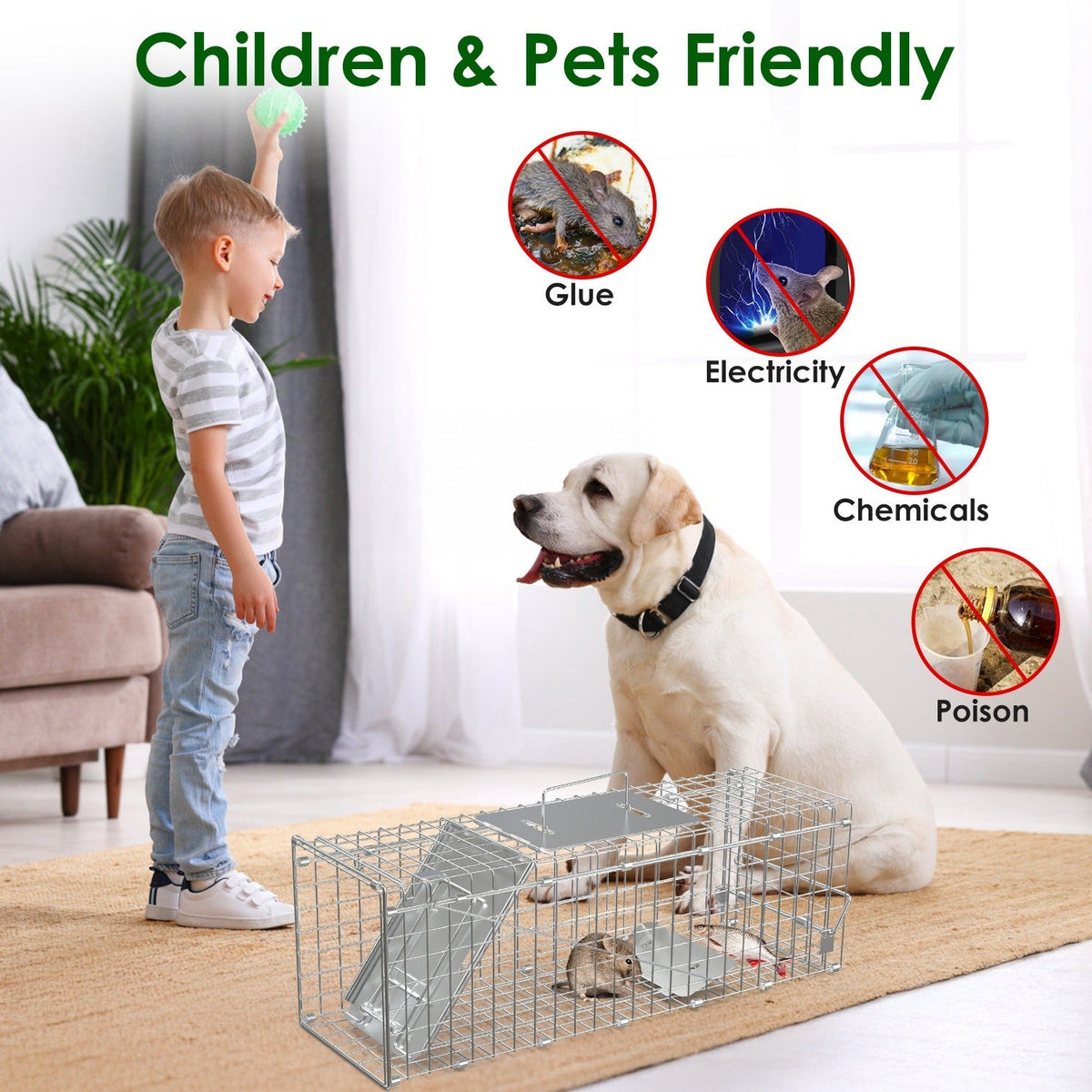 2PCS Folding Humane Animal Trap Cages for Cats, Rabbits & Squirrels