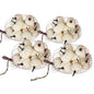 Velvety Pumpkin In Mesh Bag, Bag / 12, For Holiday Harvest Festival Fall Festival & Thanksgiving (Set of 4) - White