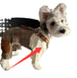 Autumn And Winter Overalls And Hoodies For Pet Cats And Dogs