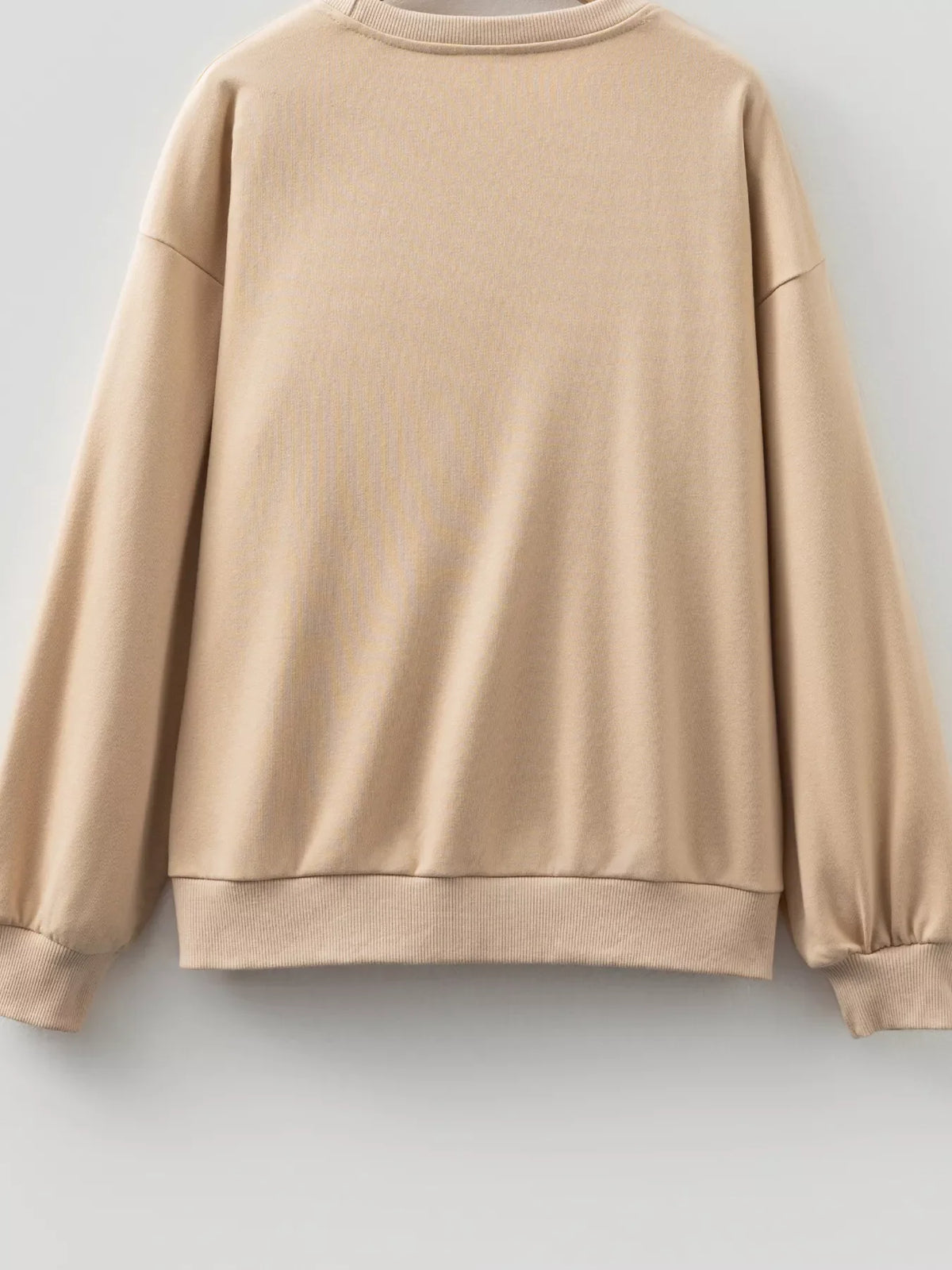 Embroidered Flower Pattern Drop Shoulder Sweatshirt