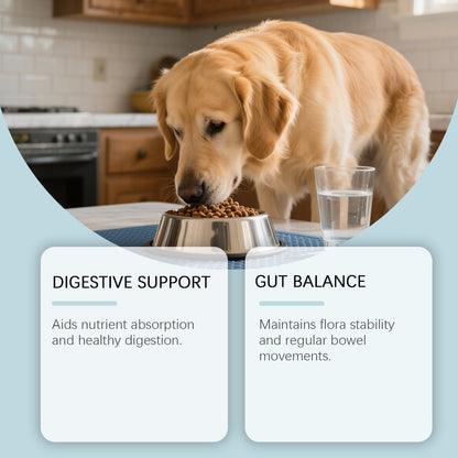 Dog Care Chewable Tablets Are Gentle On The Dog's Body And Provide Daily Nutritional Supplements Suitable For All Dog Breeds