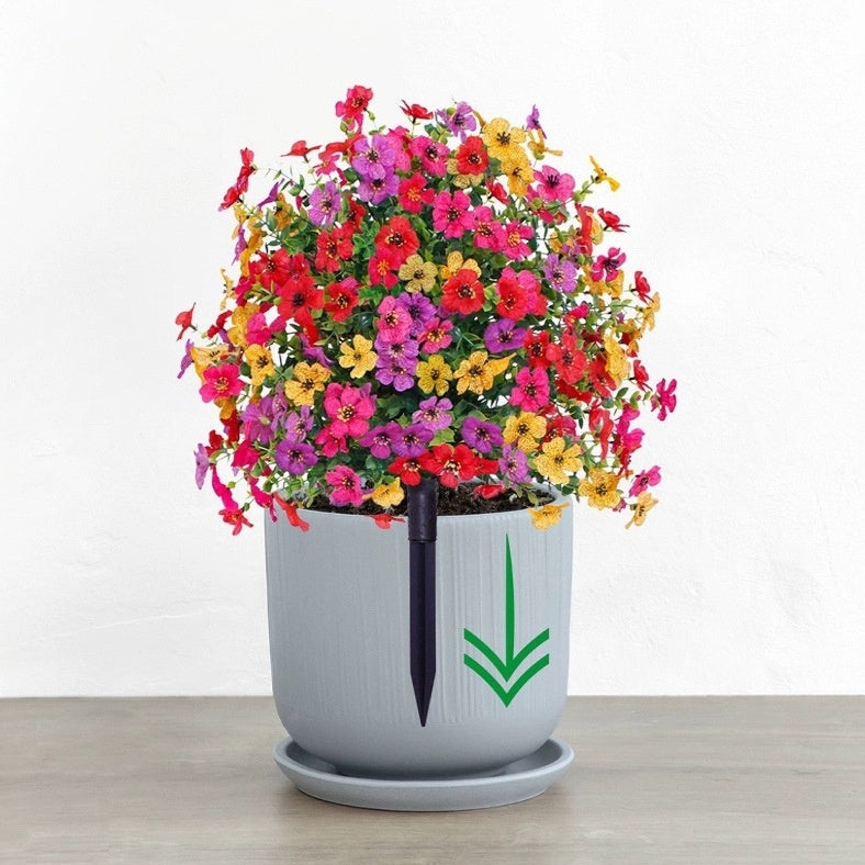 Eucalyptus Violet Floor Outlet Garden Green Plant
