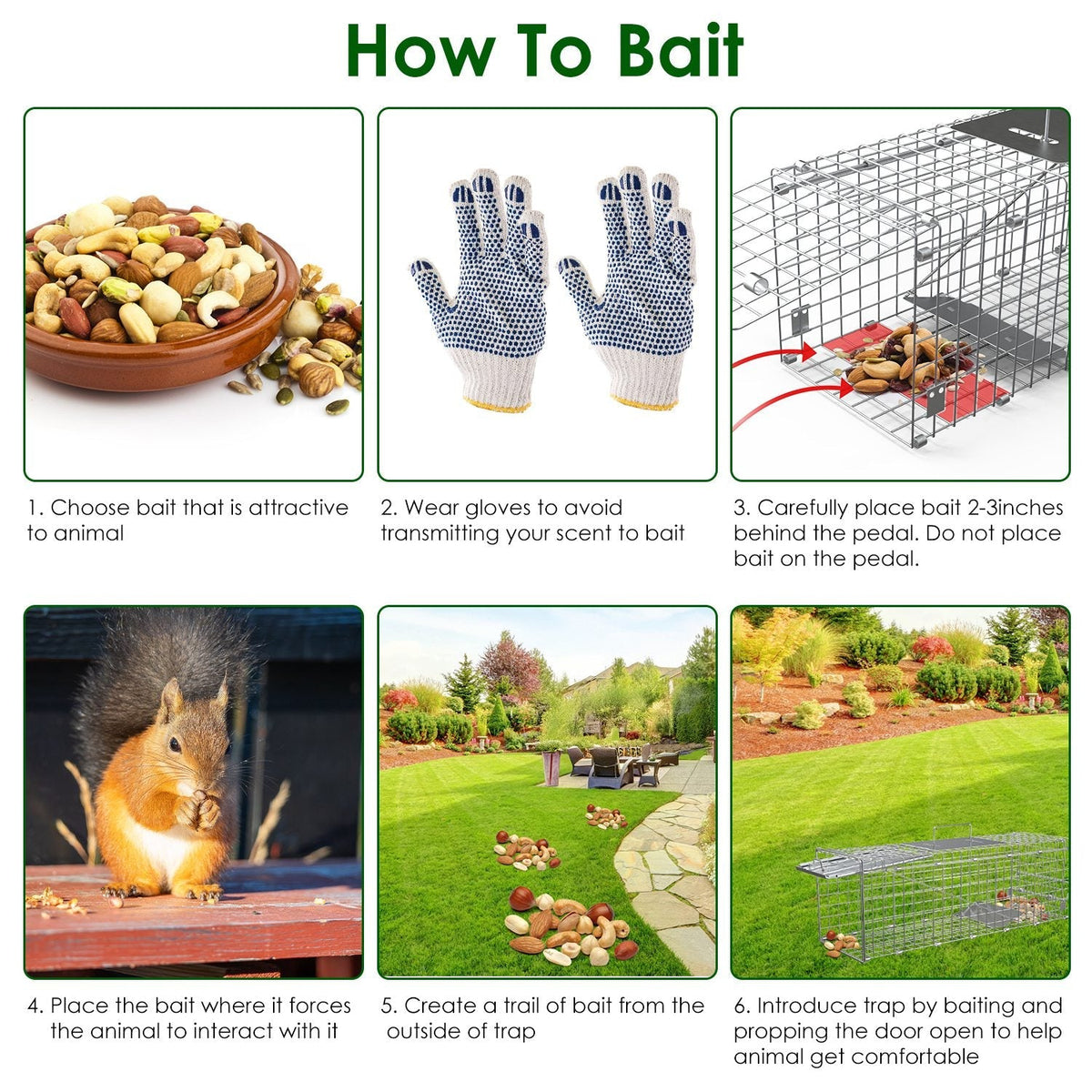 2PCS Folding Humane Animal Trap Cages for Cats, Rabbits & Squirrels