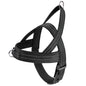 Dog Vest-style Collar And Harness
