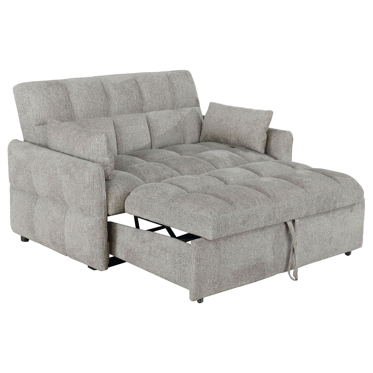 Alvara - Tufted Cushion Pull Out Sleeper Sofa Bed