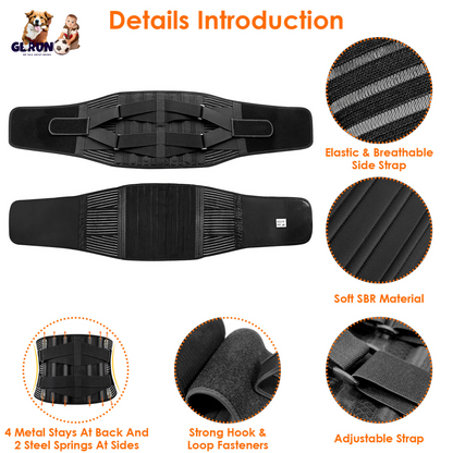 Back Support Brace Breathable Mesh Lumbar Support BeltÊAdjustable Lower Back Brace with Stays and Springs for Pain Relief for Men Women