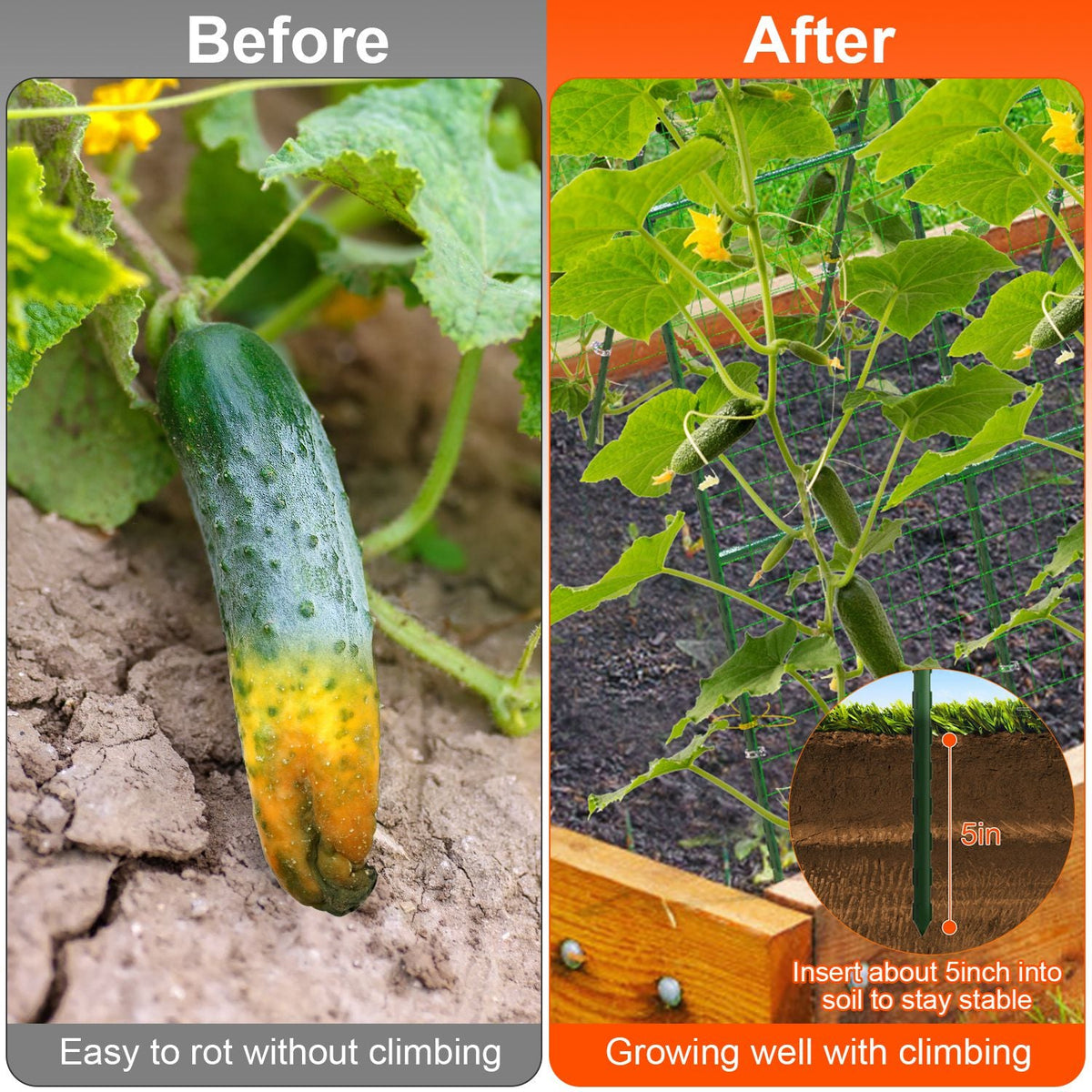 Cucumber Trellis for Raised Bed Arch Garden Trellis for Climbing Plants Vine Vegetables Fruit Flower Grape U-Shaped Frame with Climbing Net Tunnel Pla