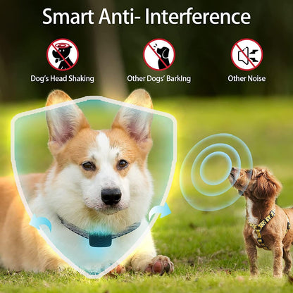 Smart Anti-Bark Dog Collar, Vibration Training Device
