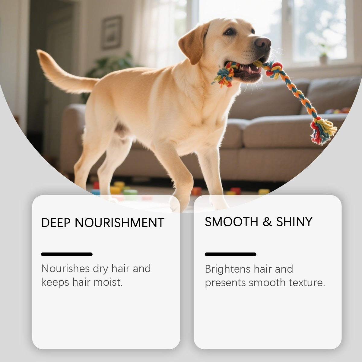 Eeljoy Pet Conditioner With Gentle Ingredients To Clean And Remove Odors, Care For Pet Hair, Make It Smooth And Shiny