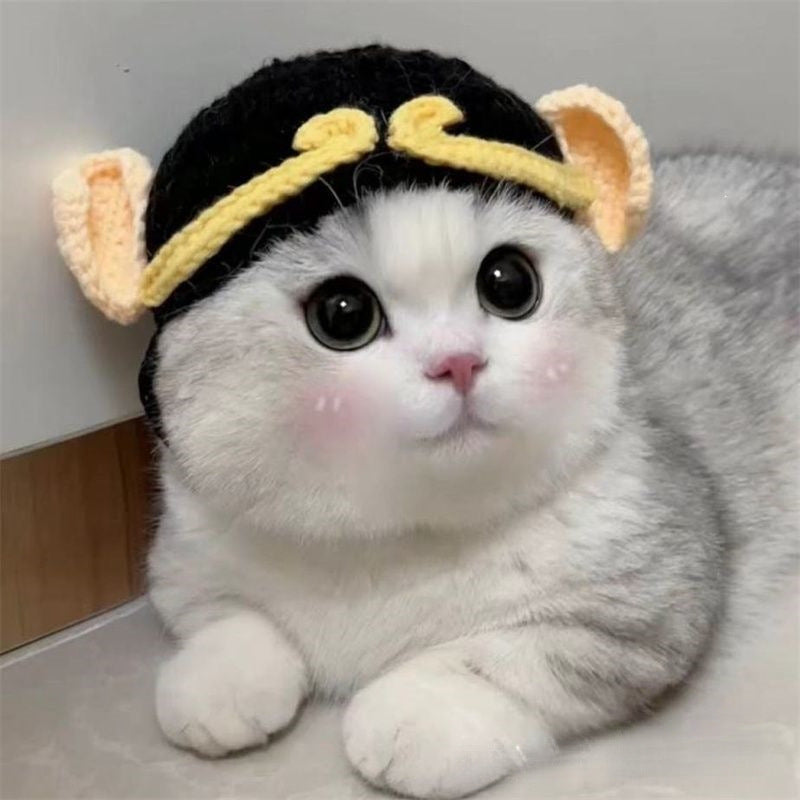 Pet Hat Dog And Pet Headwear Cute 3D Knitted Wool Bonnet Finished Cat Item